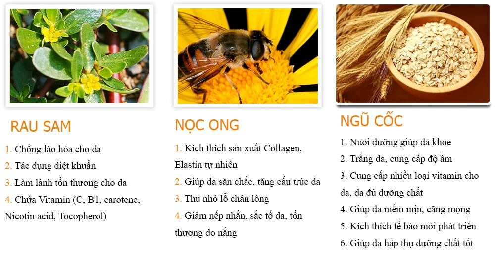 thanh phan kem chong nang nhay cam queenie bb4df8d2 2112 4777 92a7 fb89983f7d49