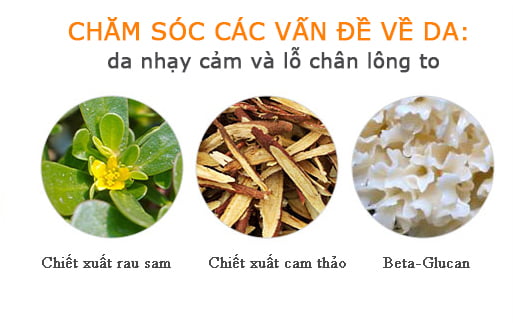 thanh phan mat na ngu sinh hoc queenie han quoc