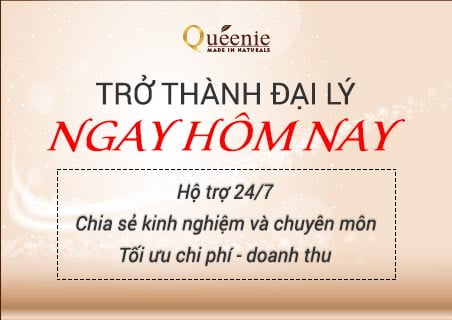 chinh sach danh cho dai ly