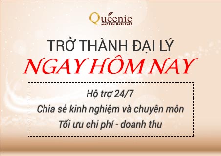 chinh sach danh cho dai ly