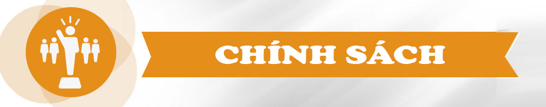 chinh sach seovip