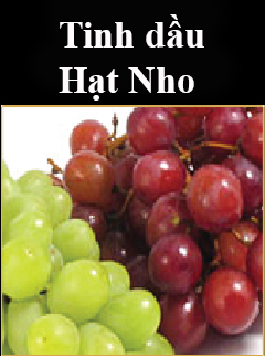 Combo Trị nám Queenie 16 tinh dau hat nho
