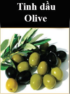 Combo Trị nám Queenie 18 tinh dau olive