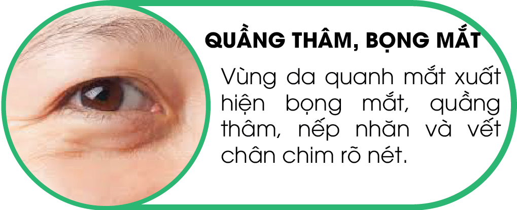 Trang chăm sóc da lớn 5 123456 05