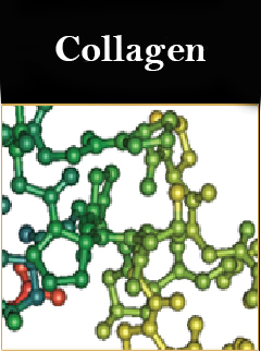 Combo Trị nám Queenie 17 collagen