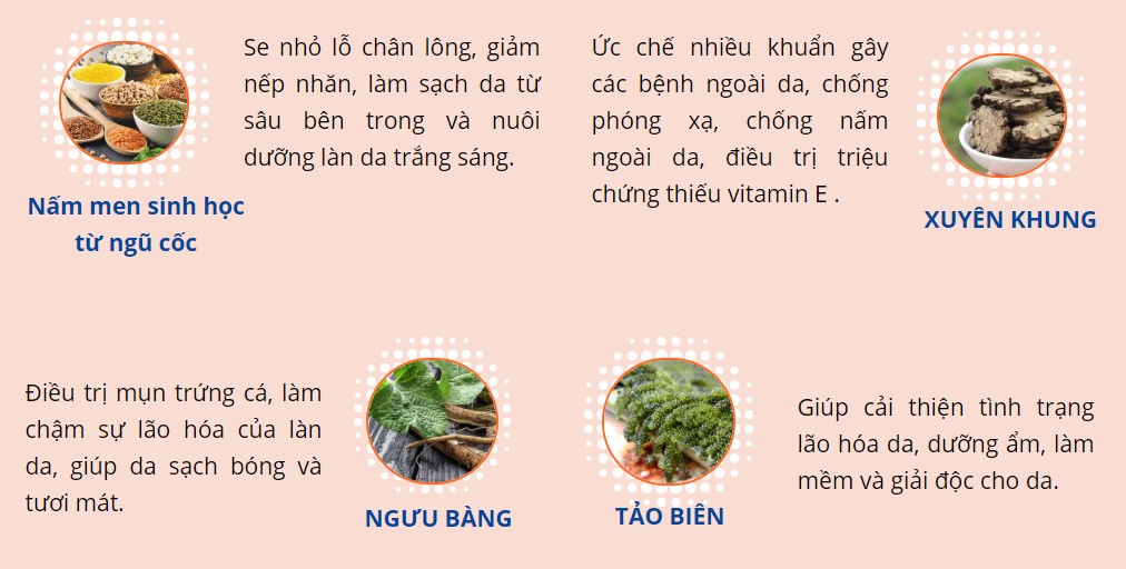 MẶT NẠ NGỦ THÀNH PHÂN