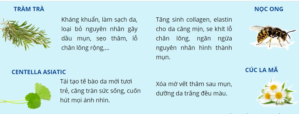 TP MỤN LI TI