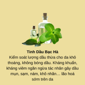 ZinC oxyde va Titanium oxyde 5