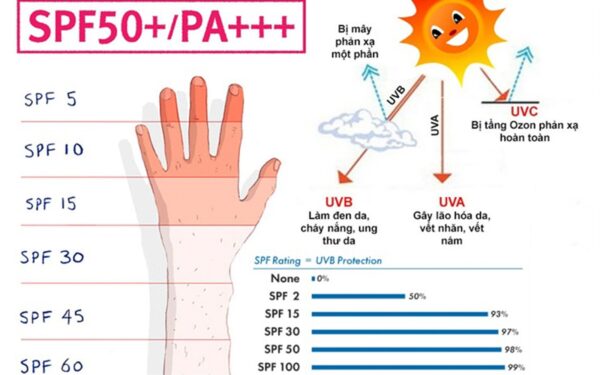 Chỉ số PA++++ là gì? Cách chọn kem chống nắng phù hợp cho 4 loại da 3 PA++++ là gì và các chỉ số quan trọng khác