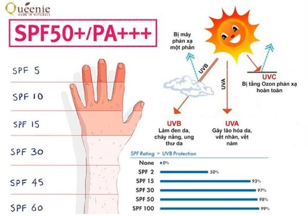 SPF là gì? Ý nghĩa của các mức chỉ số SPF khác nhau