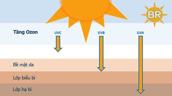 SPF là gì? - Các loại tia UV